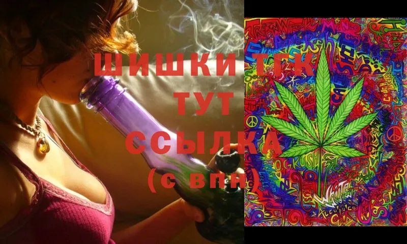 Бошки Шишки Ganja  наркотики  Советский 